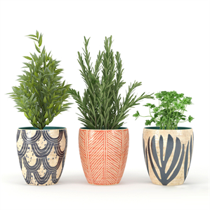 Kitchen_Plant